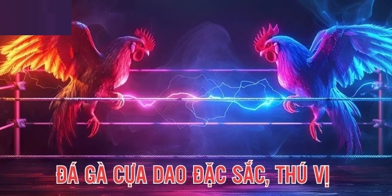 Cựa dao là loại hình cá cược phổ biến được nhiều người lựa chọn