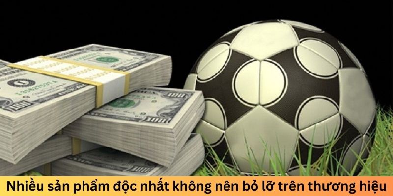 Nhiều sản phẩm độc nhất không nên bỏ lỡ trên thương hiệu